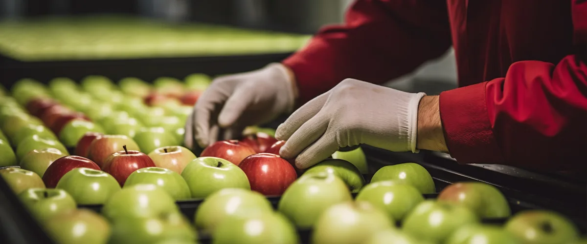 Filtrazione dell’aria nei settori critici: dal manifatturiero all’alimentare